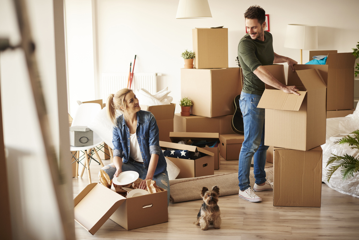 Umzug & Formalitäten in Paderborn – Checklisten, Tipps und Services